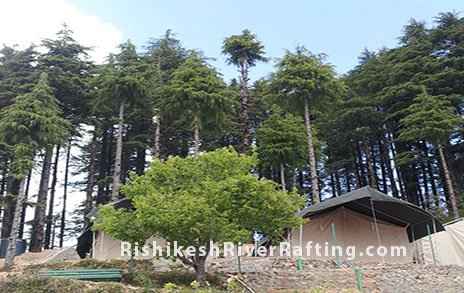 kanatal camping packages