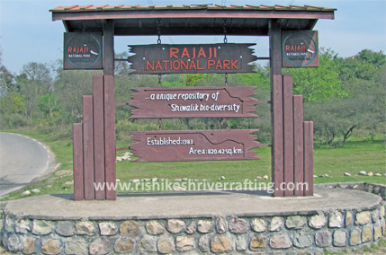 Wildlife Safari Rishikesh, Rishikesh Safari Packages